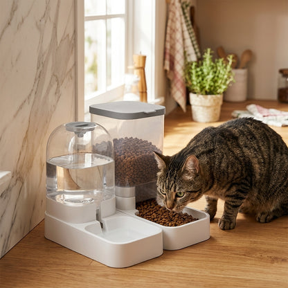 Automatic Pet Feeder and Water Dispenser